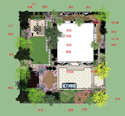 植物布置 - 臺(tái)州景觀設(shè)計(jì)